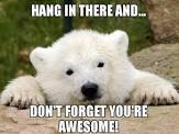 Hang in There!